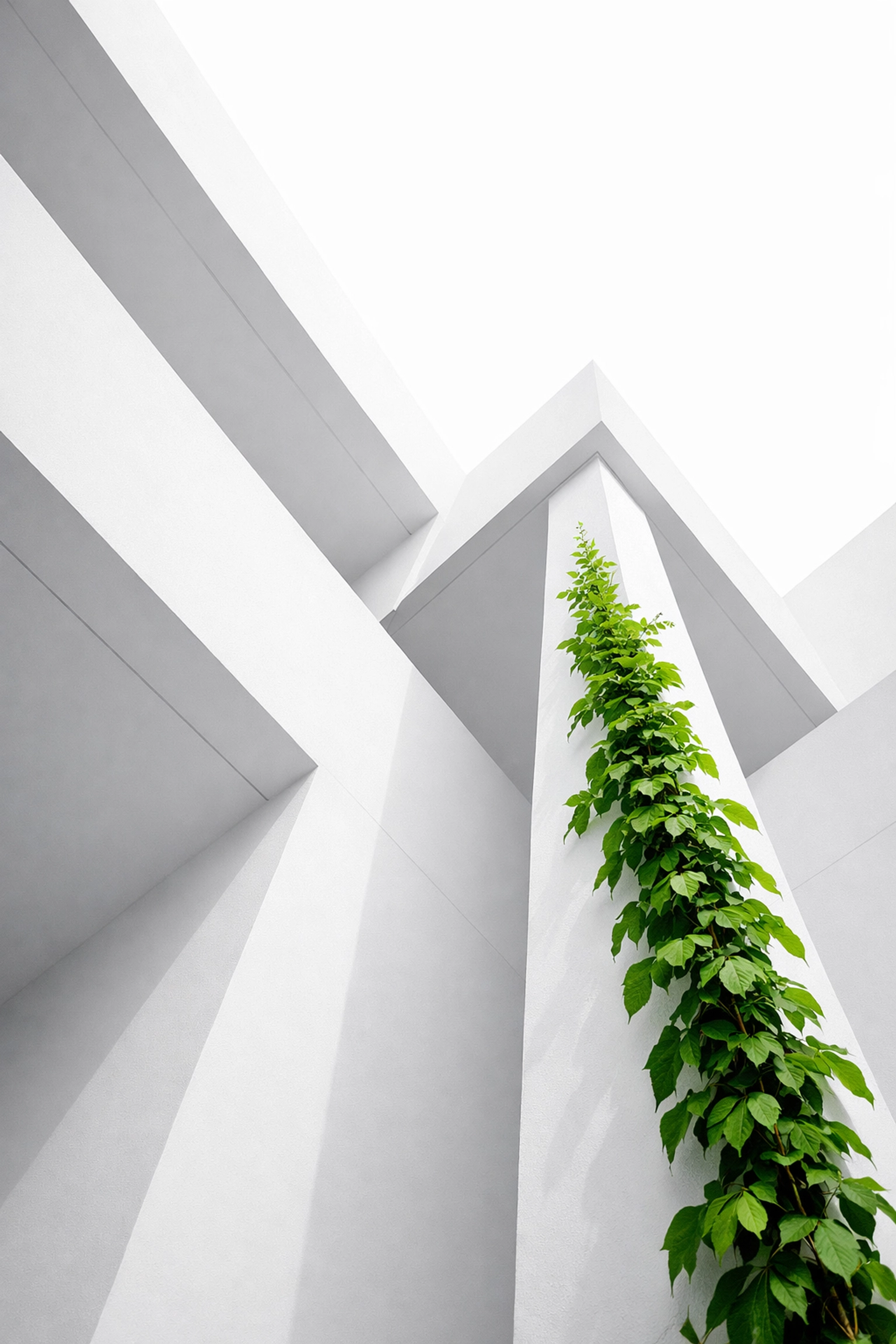 Modern architectural lines reflecting the performance and reliability of managed website hosting.